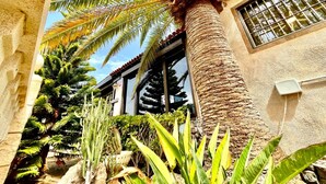 A courtyard with a palm tree, various plants, and a building with a tiled roof and barred windows.