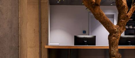 A tree in a modern indoor setting with a wooden desk and a computer in the background.