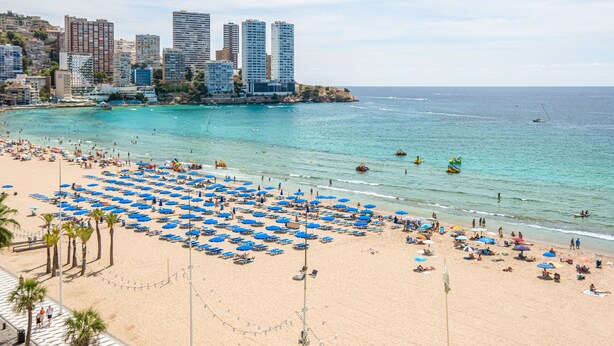 Una playa con numerosas sombrillas azules y un paisaje urbano al fondo.