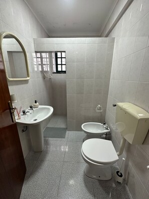 Shower, hair dryer, bidet, towels