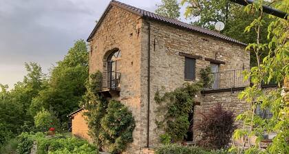 CIN IT004164C195JPIG68