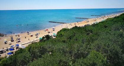 Precious Villa With Private Garden and Barbecue