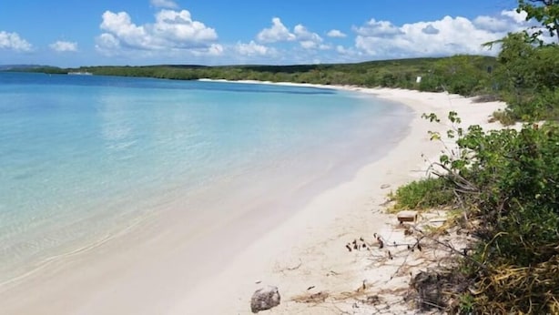 Une plage à l’eau turquoise et limpide, au sable blanc et à la végétation verdoyante.