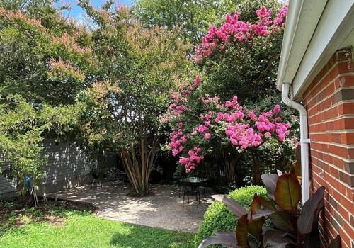 Next to Virginia Hospital Center