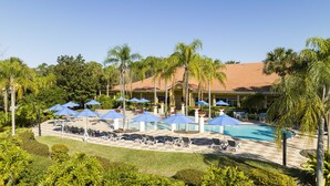 A resort pool area with lounge chairs and umbrellas, surrounded by palm trees and a building with a tiled roof.