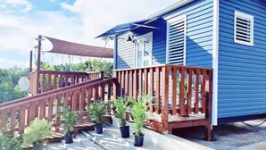 Une maison bleue avec une terrasse en bois et des plantes en pot.