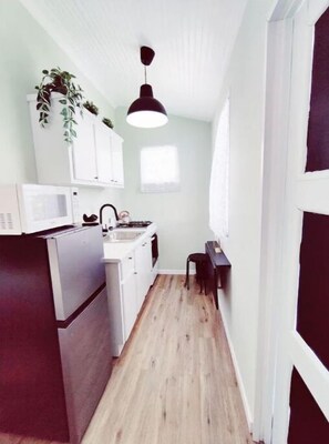 Frigorífico, microondas, horno y placa de cocina