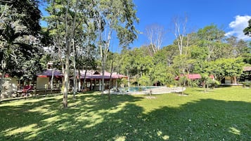 Puutarha