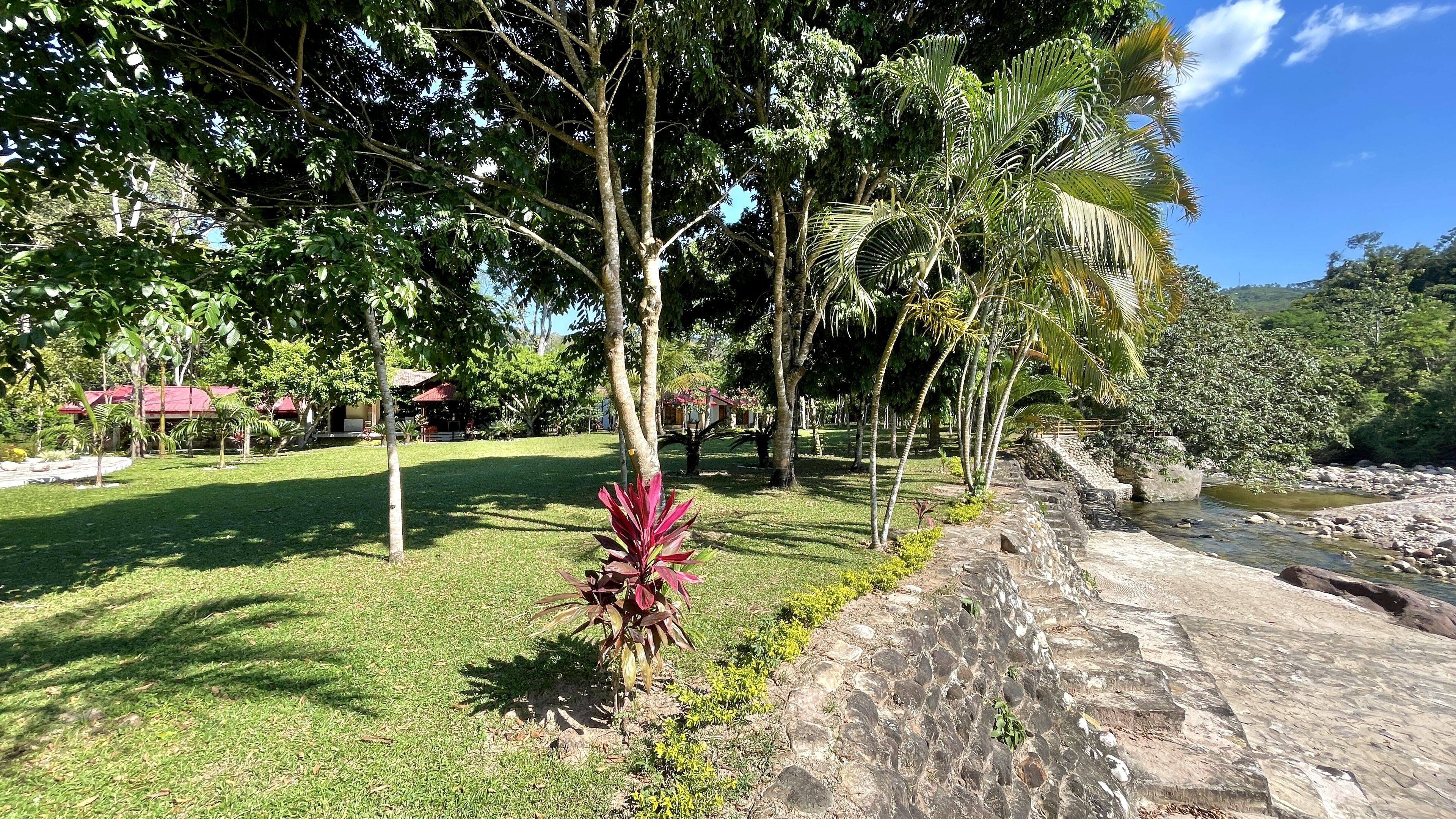 Um jardim exuberante com um caminho de pedra que leva a um corpo d'água, rodeado por várias árvores e um pequeno edifício ao fundo.