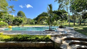 A swimming pool surrounded by stone steps and lush greenery.