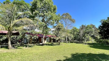 Jardín