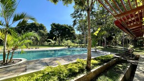 A swimming pool surrounded by lush greenery and trees.