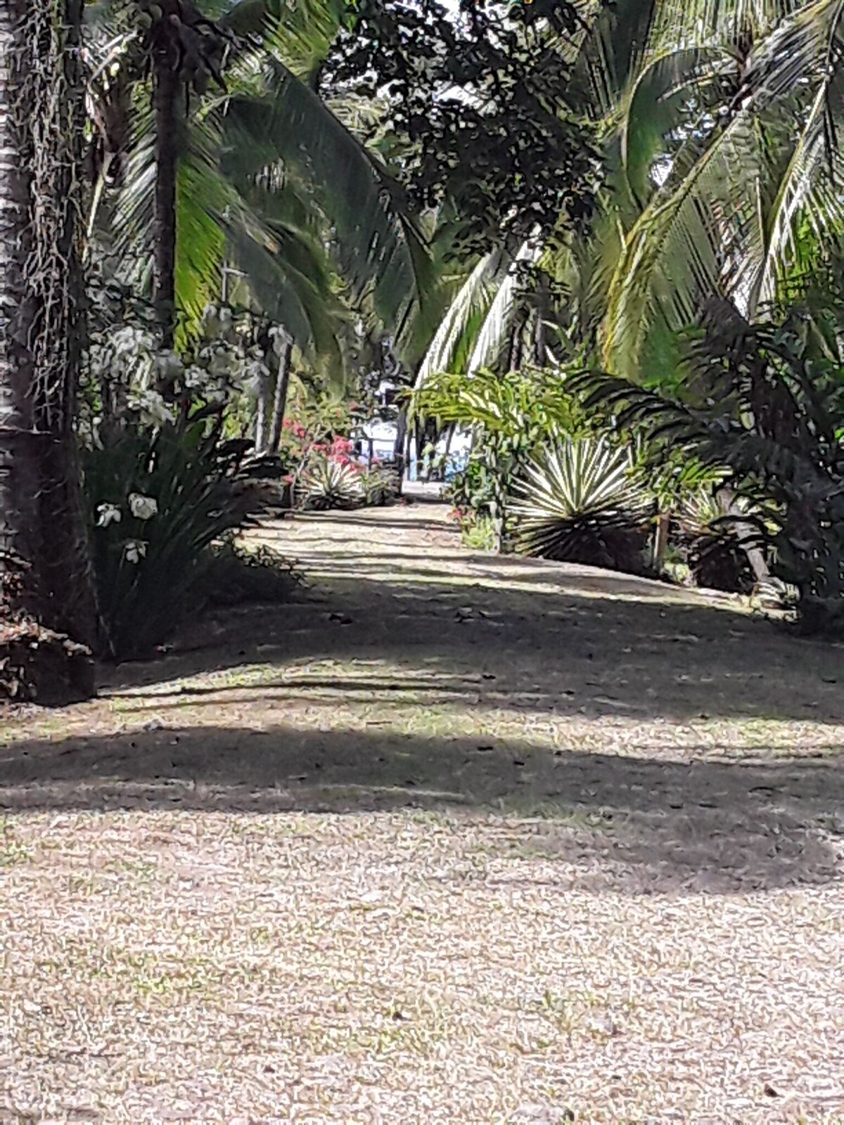 オーナーのプロフィール画像