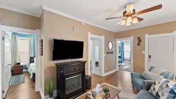 Smart TV, fireplace, books