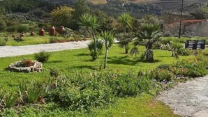 Un paysage rural avec des champs en terrasses, des palmiers et un mur de pierre.