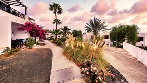 Eine Wohnstraße mit Häusern, Palmen und Bougainvillea-Blumen.