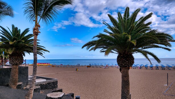 Ein Strand mit Palmen, sandigem Ufer und blauem Himmel.