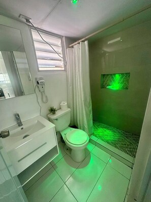 Hair dryer, towels, soap, toilet paper
