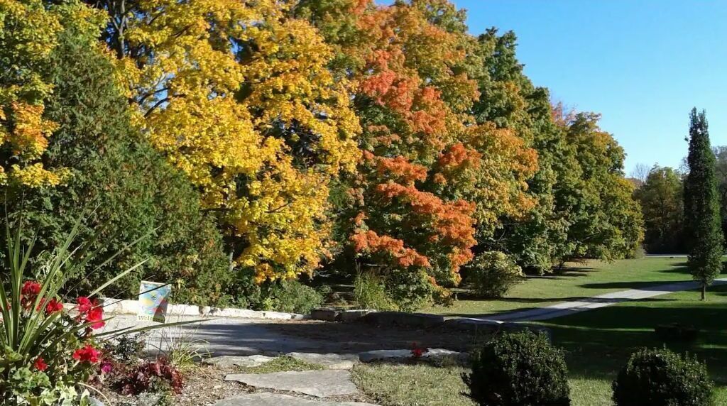 Parco della struttura