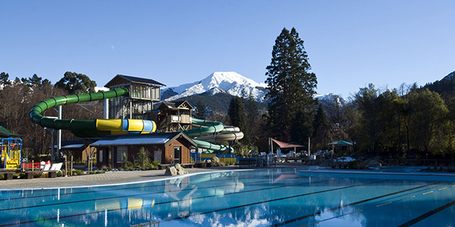 The Canterbury and Marlborough Roadie