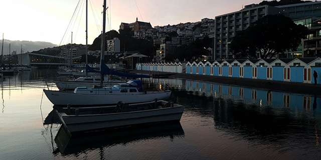 Expedia Expert: Wild about Wellington