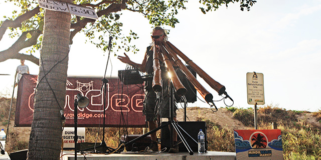 The Ultimate Darwin Market Guide