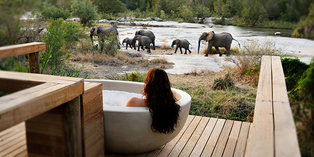 Unique Sleeps: Londolozi Private Game Reserve, South Africa