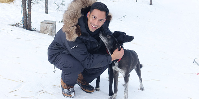 Dog Sledding Adventures in Alaska