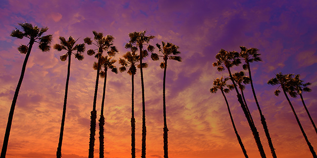 Huntington Beach and the Orange County