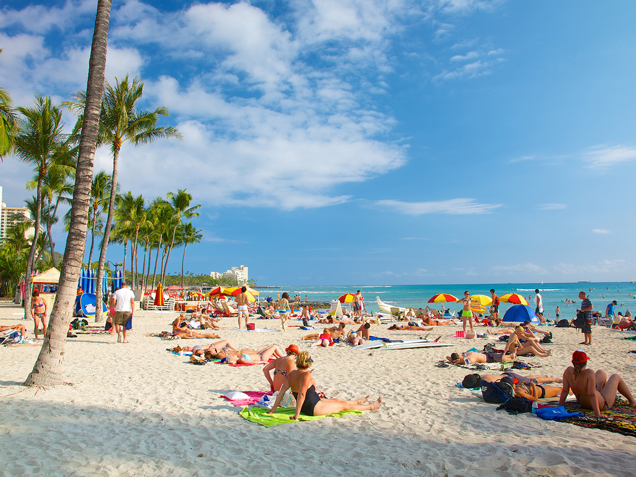 Hawaii’s celebrity hotel hangouts