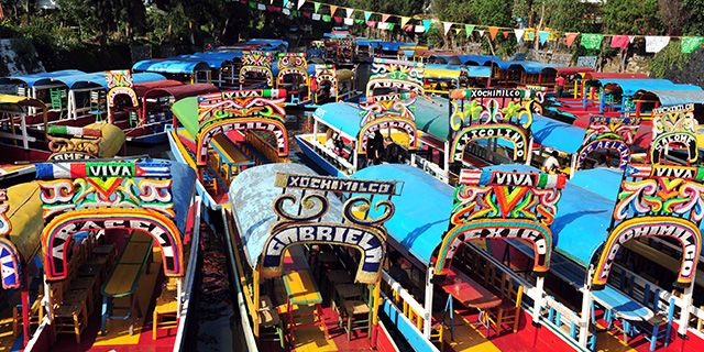 Expedia Expert: Mexico City