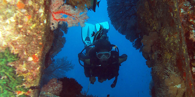 The Absolute Best Diving in Thailand