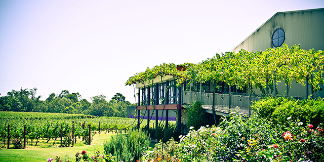 Foodie Adventures in Margaret River and the Swan Valley