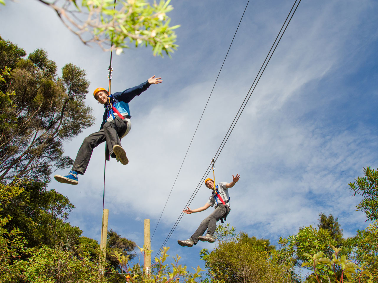 A Family Guide to Waiheke Island