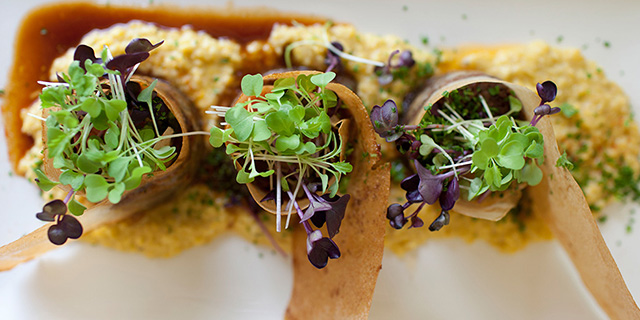 A Hunter Valley Girls Weekend