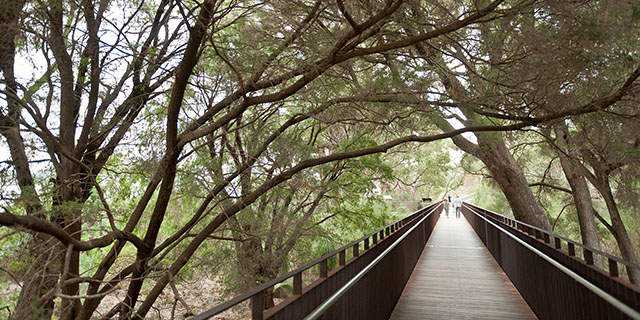 The Family Friendly Guide to Perth