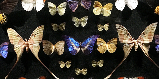 More than MONA: Art & Design in Hobart