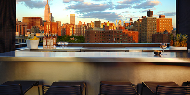 The Rooftops of New York