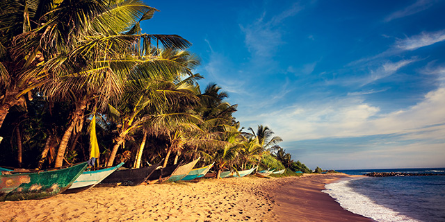 Listopedia: Bali’s best swaps