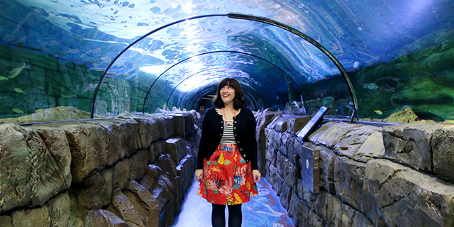 Listopedia: the best things to do in Sydney in Spring