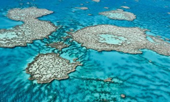 The lastminute lovelies in TNQ