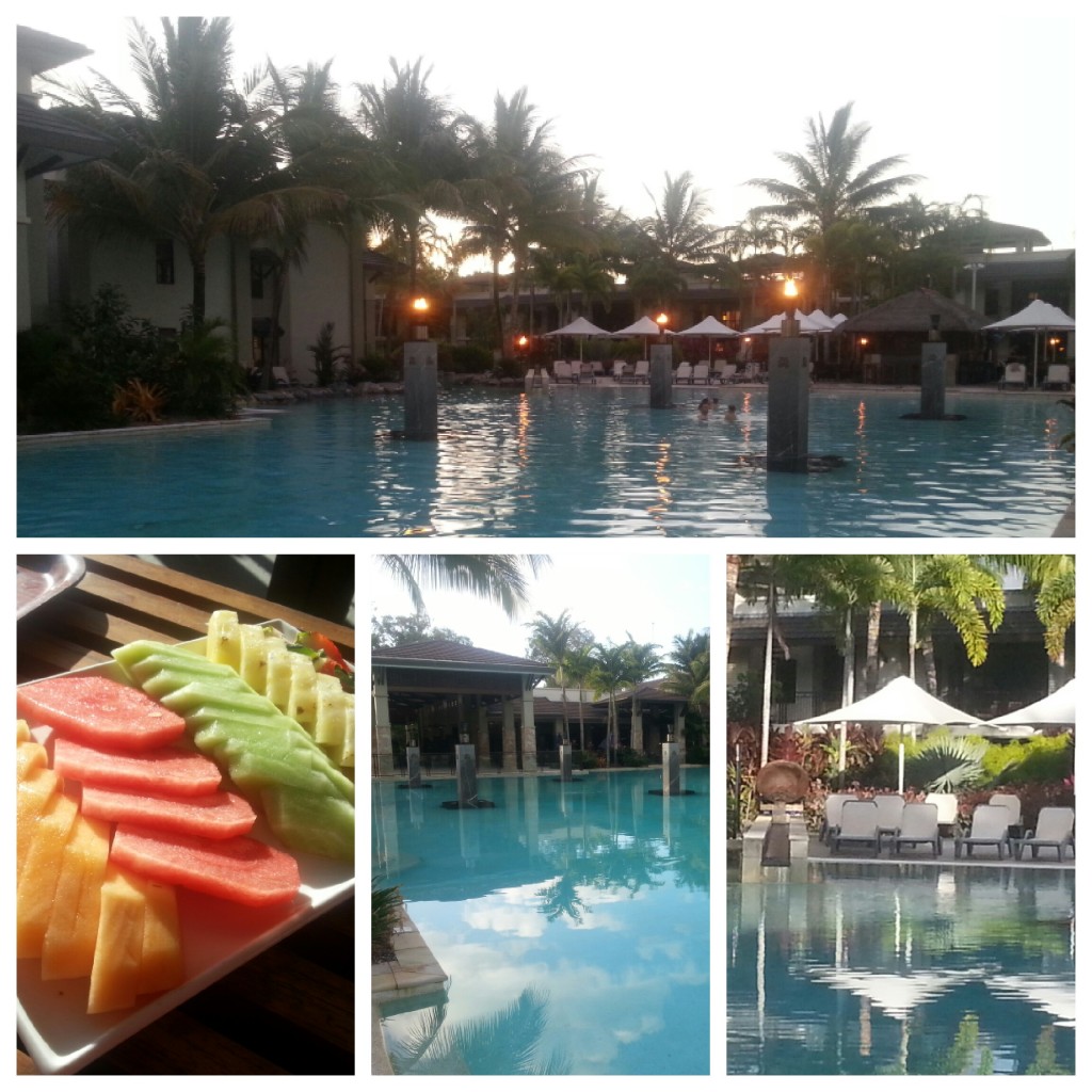 cocktails and nibbles