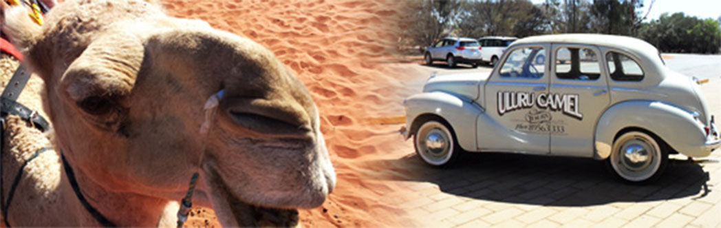 All aboard the Camel Express