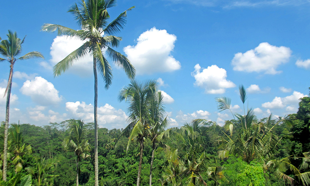 Bali hotel review: Time-Out at Alila Ubud