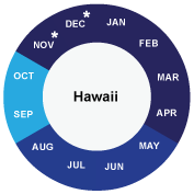 Hawaii cruise info