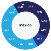 Mexico cruise info