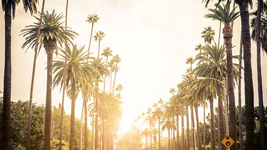Los Angeles