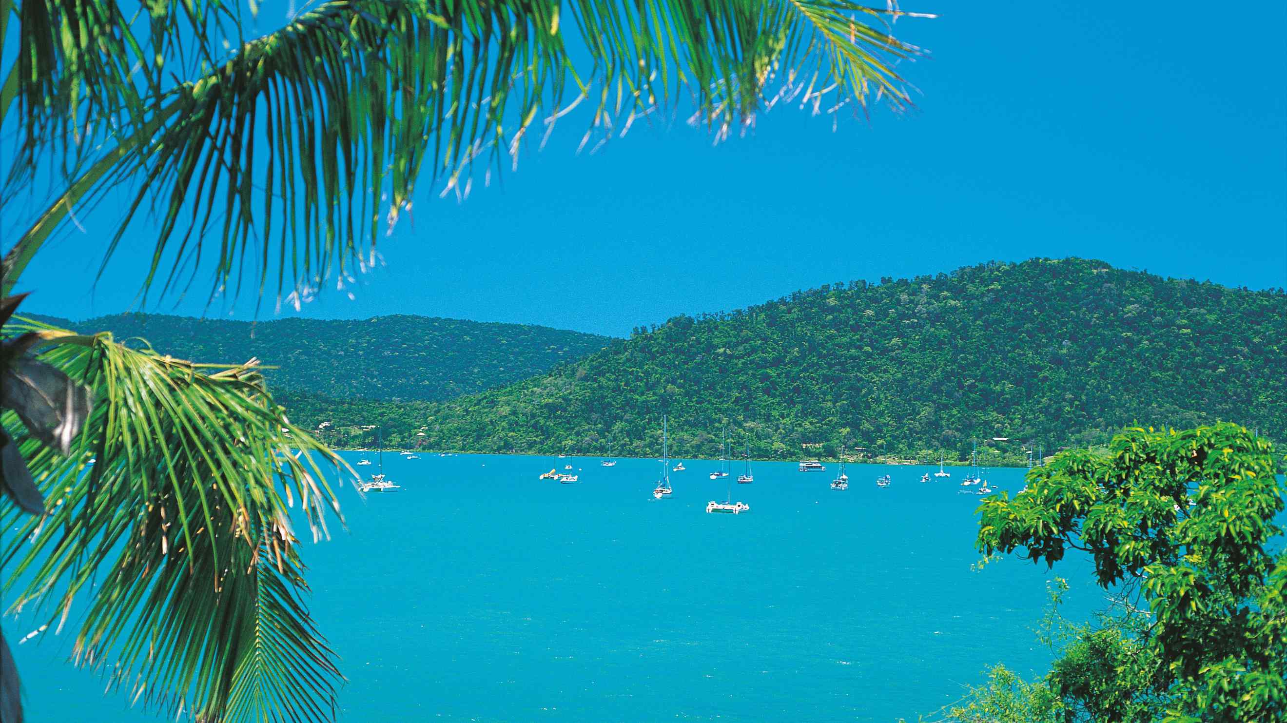 airlie beach tours and activities