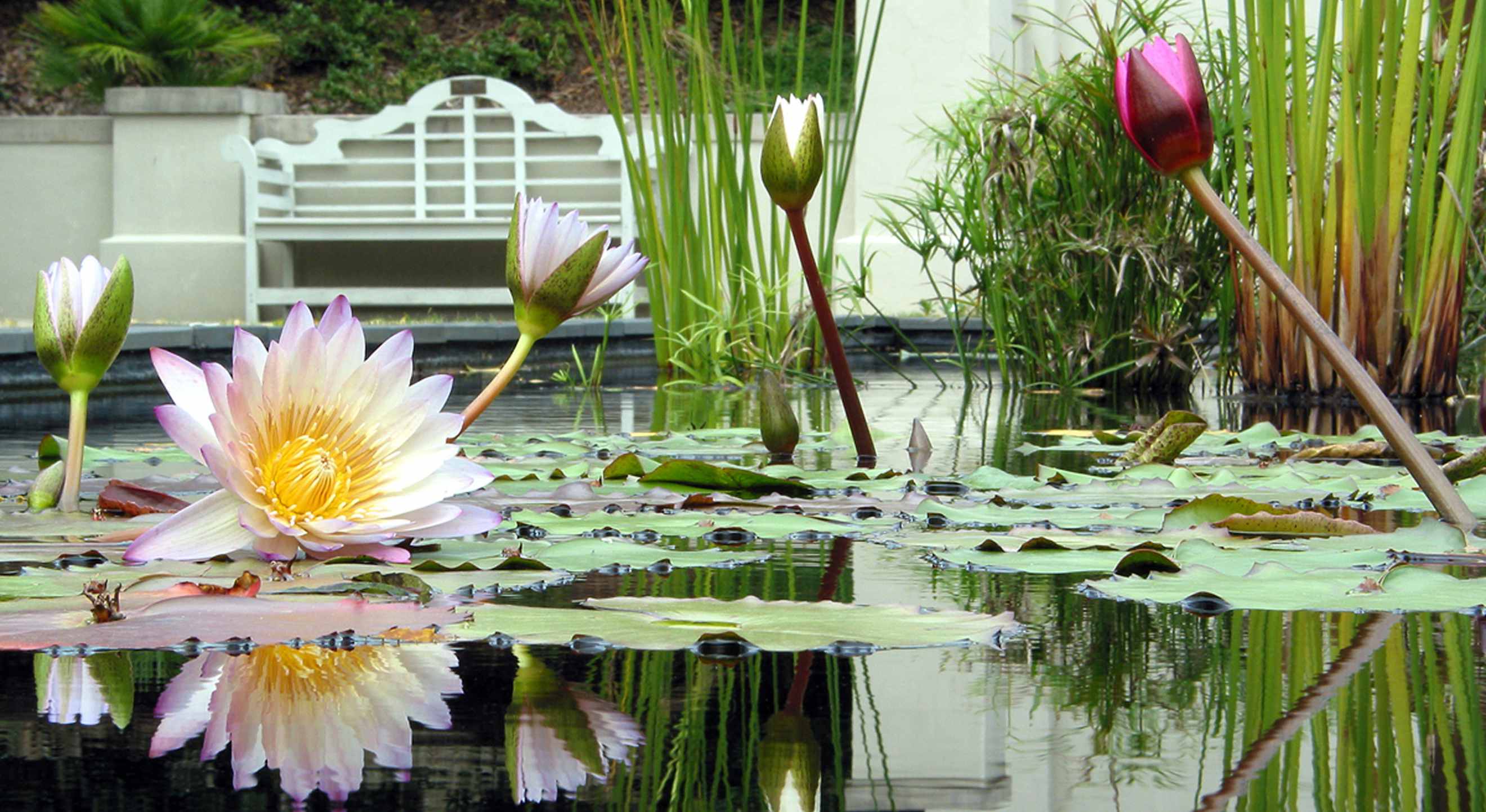 Cheap Rental Cars In Birmingham Al Car Sale and Rentals