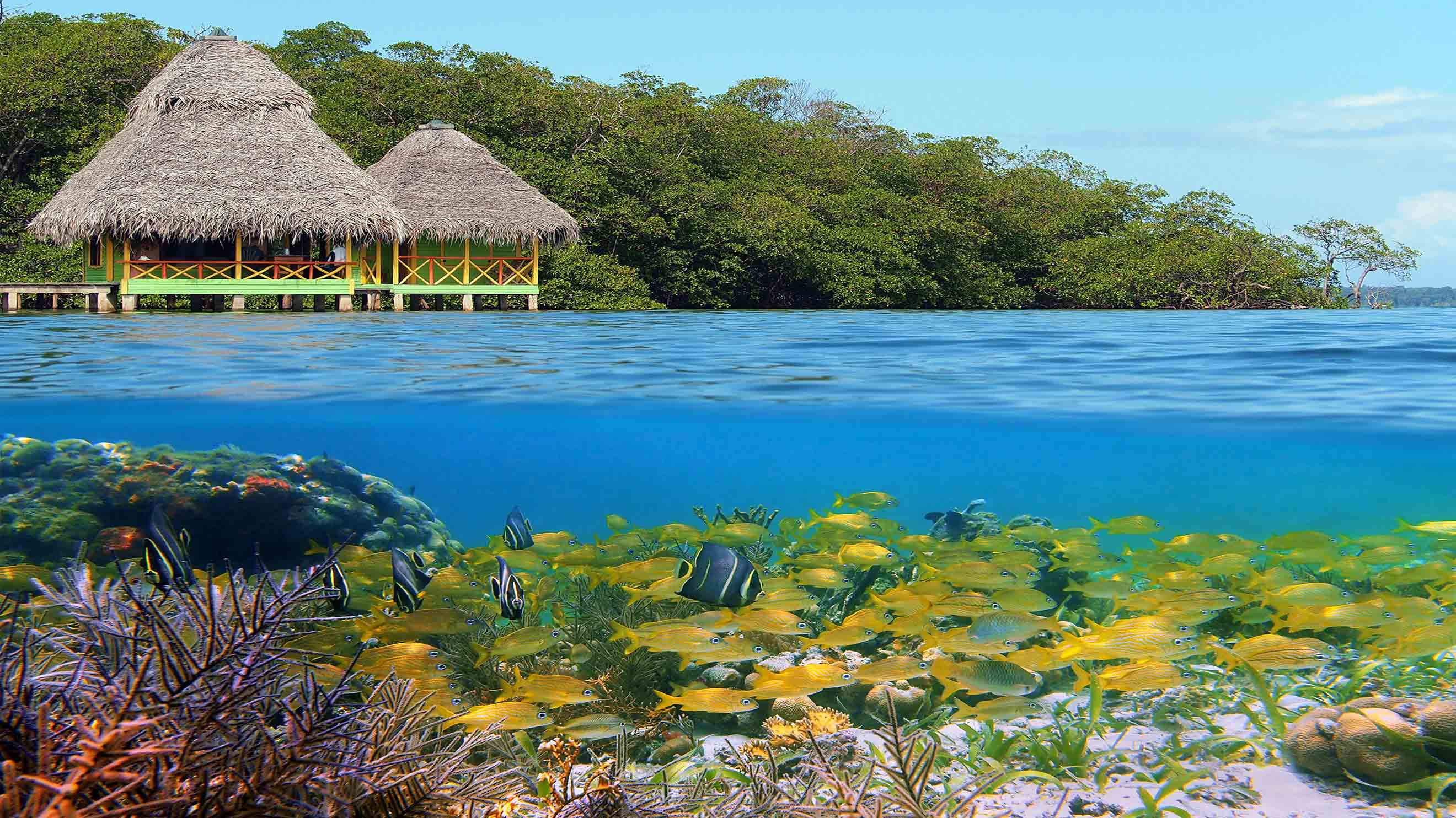 Viajes a Bocas del Toro Paquetes a Bocas del Toro 2020